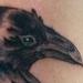 Tattoos - Raven - 54076